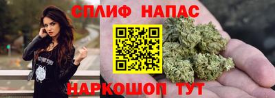 СК Будённовск