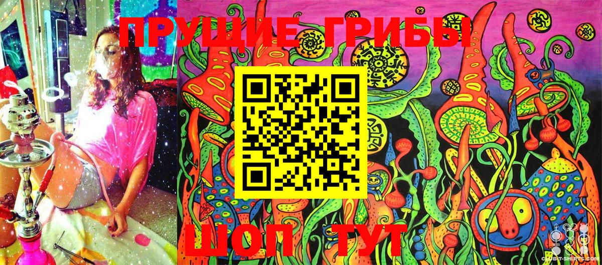 Сафоново  как найти закладки  Вход с VPN  Псилоцибиновые грибы Psilocybe 