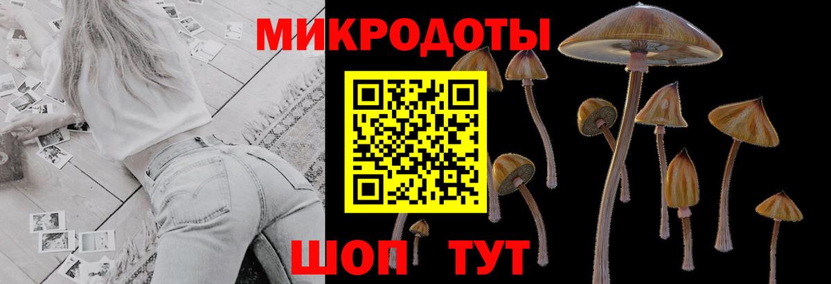 Псилоцибиновые грибы MAGIC MUSHROOMS Сафоново